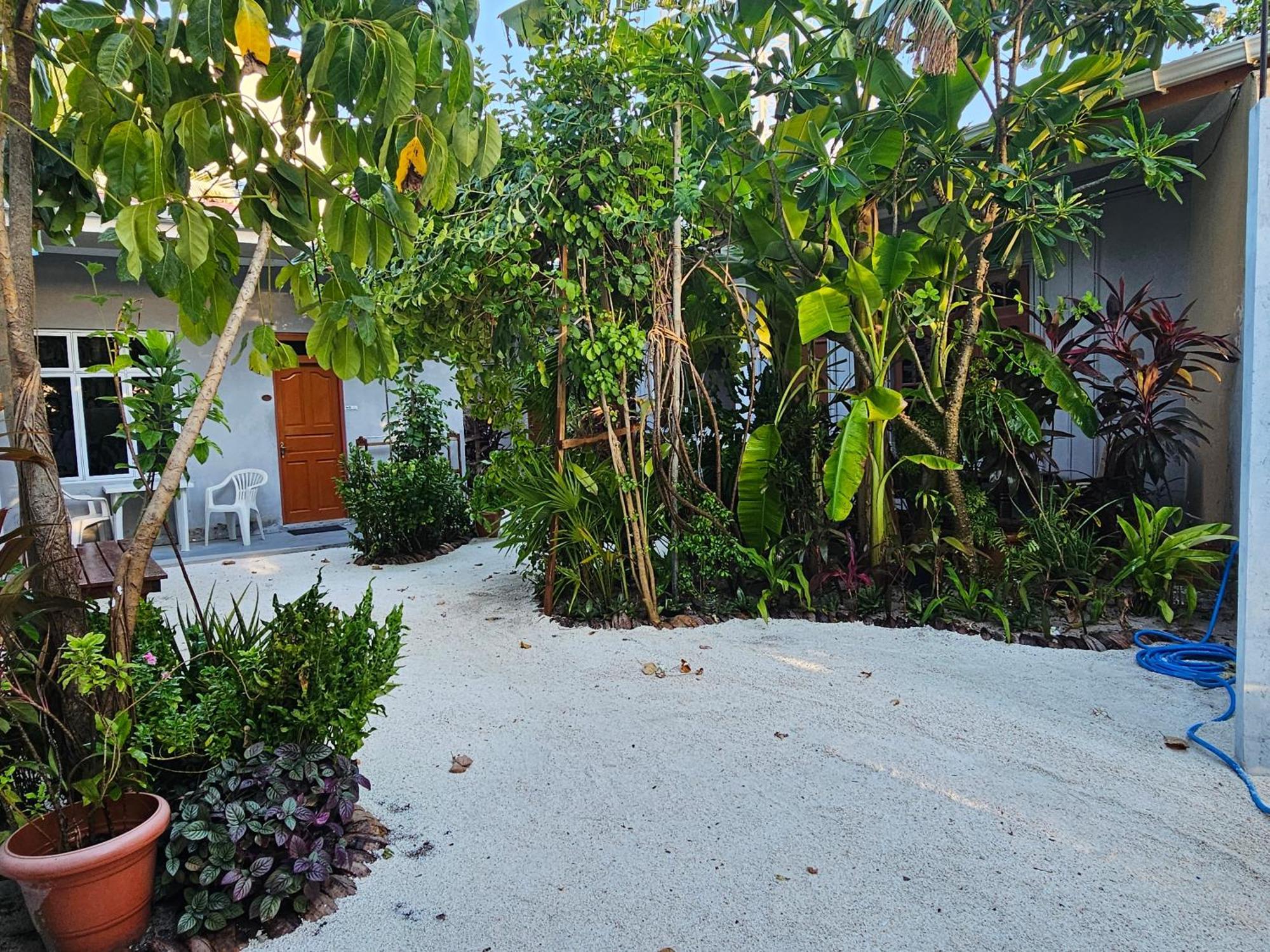 Sunset Beach View Dhangethi Exterior foto