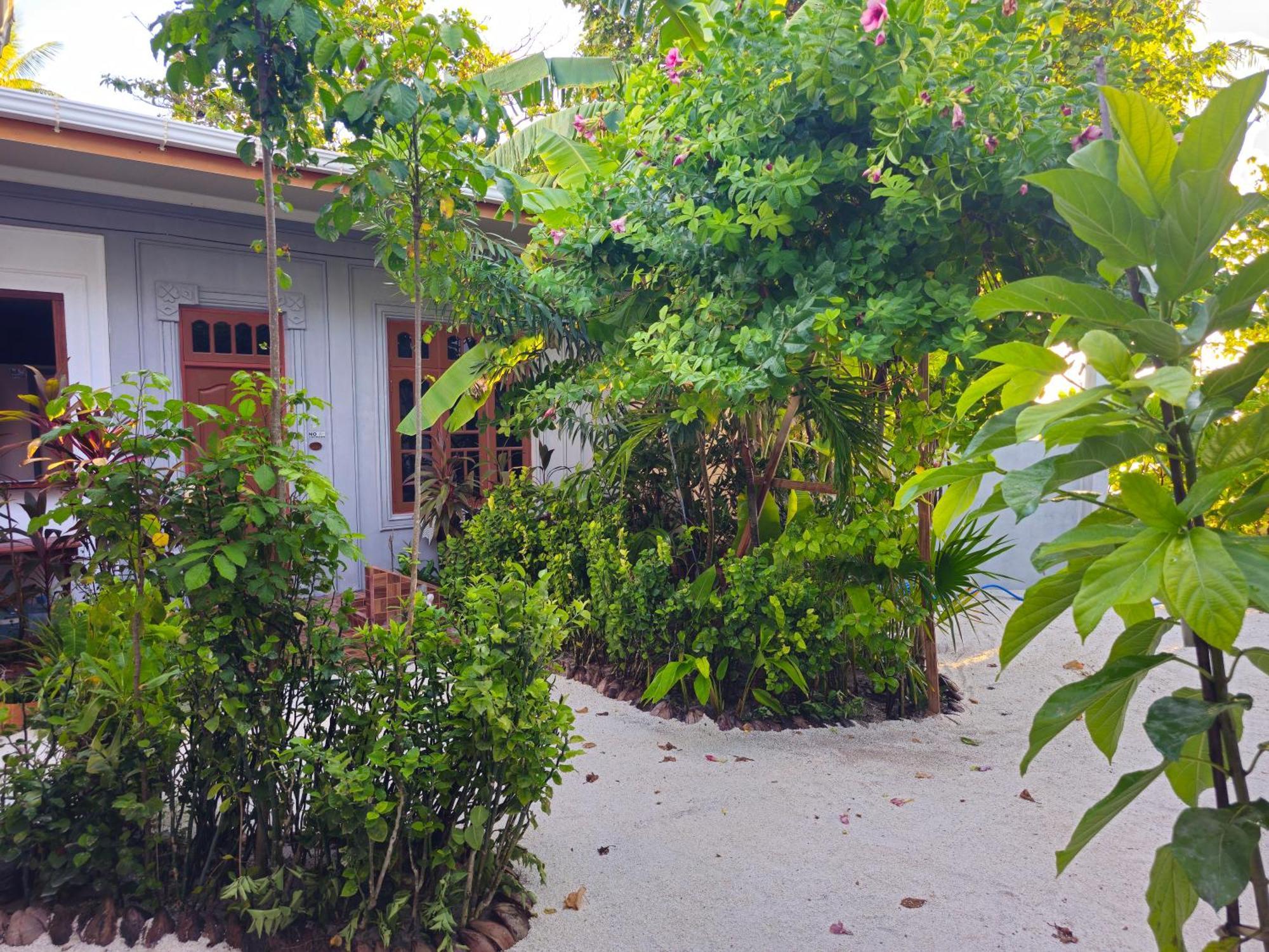 Sunset Beach View Dhangethi Exterior foto
