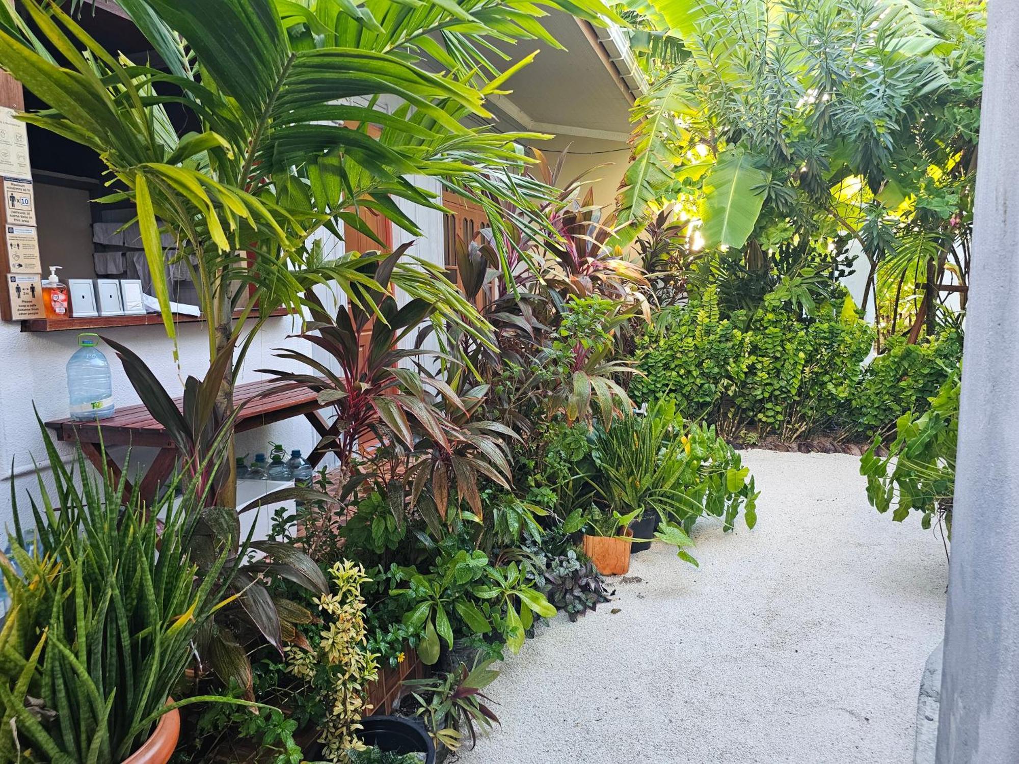 Sunset Beach View Dhangethi Exterior foto